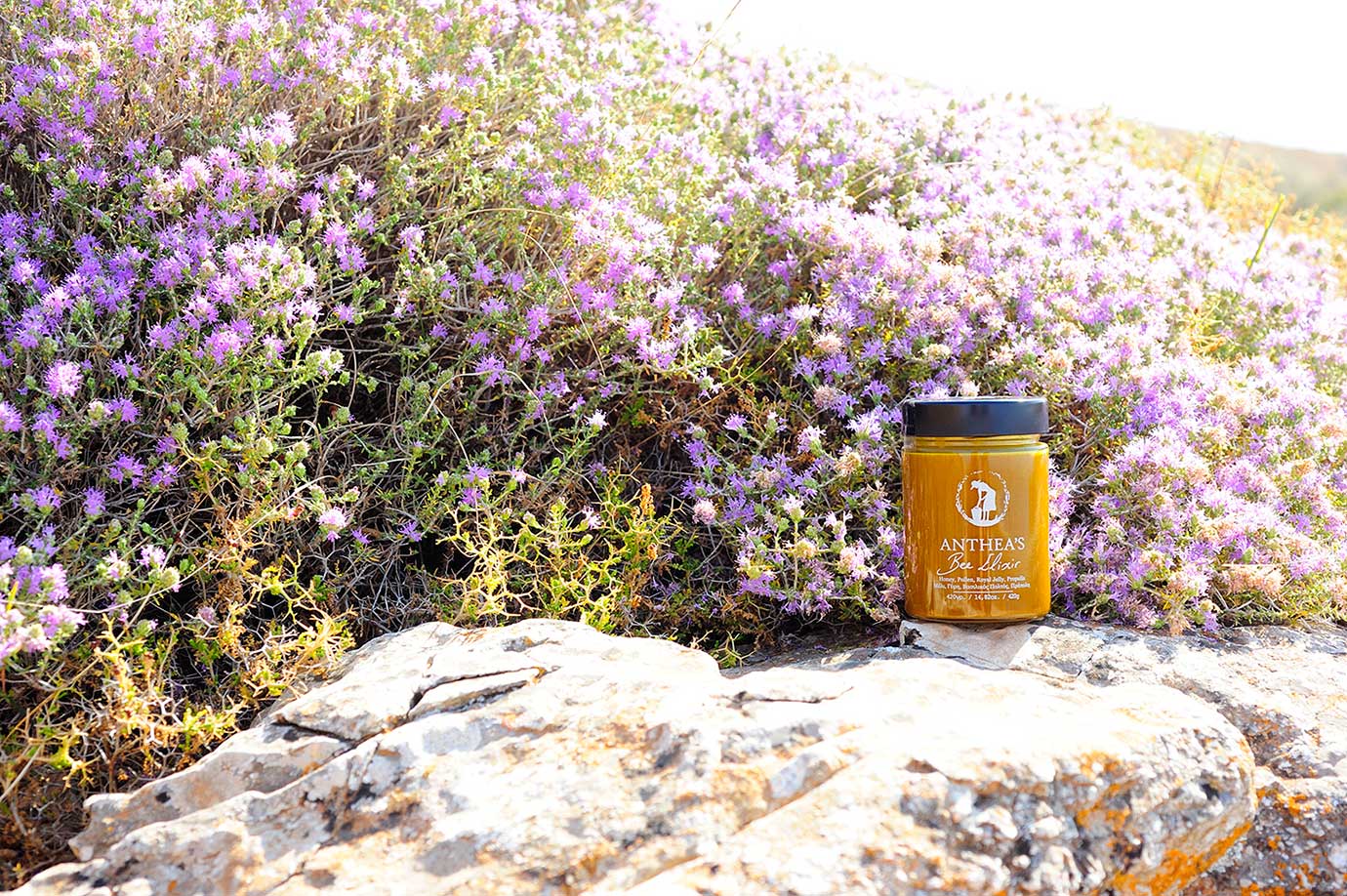 Bee Elixir